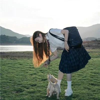 向阳花开